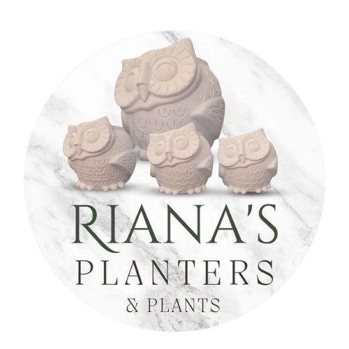 Riana's Planter Plants